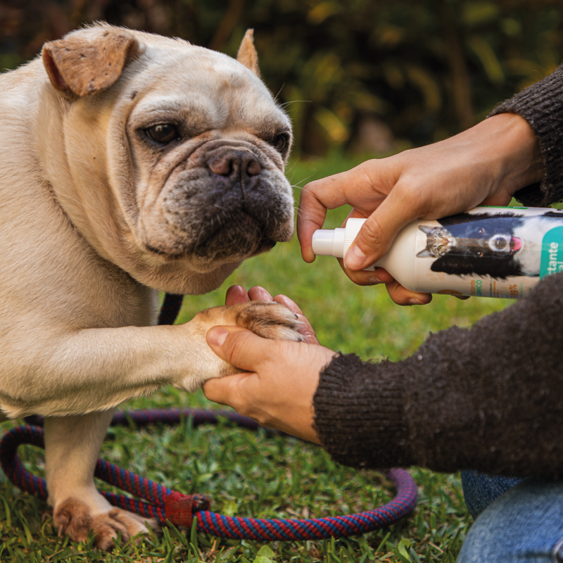 Desinfectante Orgánico para mascotas Kuma Nat 250ml