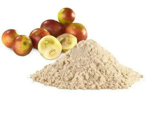 Camu Camu Integral en polvo x Kg