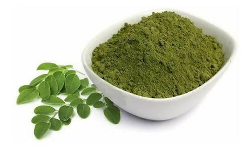 Moringa en polvo x Kg