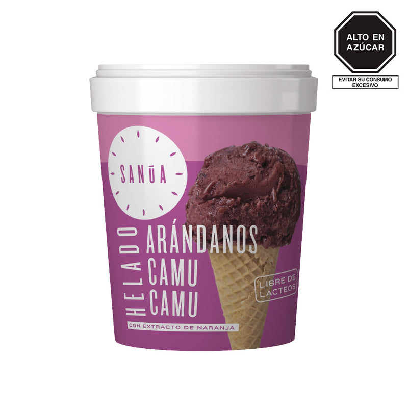 Helado Arándanos y Camu Camu Sanúa 16oz