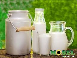 Leche fresca pasteurizada bolsa Mosel 1Lt