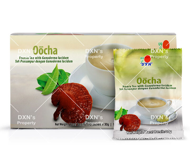 Oocha: Te Oolong, Ganoderma Lucidum y Crema de Leche Vegetal en polvo DXN 12 x 30g